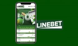 Киберспорт в Linebet: ставки на главные турниры и команды, и где Linebet скачать