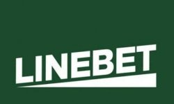 Live-ставки на Linebet: как правильно выбирать в реальном времени и где скачать Лайн бет