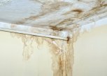 Как и чем помыть потолок перед покраской водоэмульсионной краской