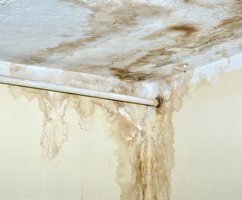 Как и чем помыть потолок перед покраской водоэмульсионной краской